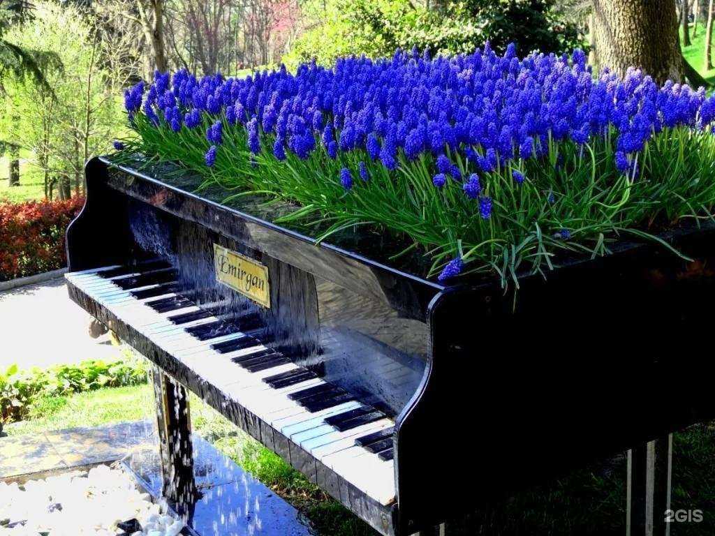 Отзывы на компанию Детская школа искусств №1 в Астрахани c фото