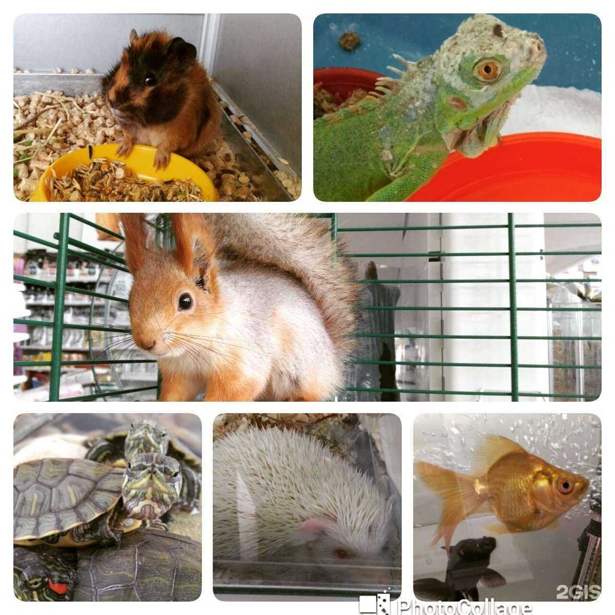 Отзывы на компанию Letto в Краснодаре c фото