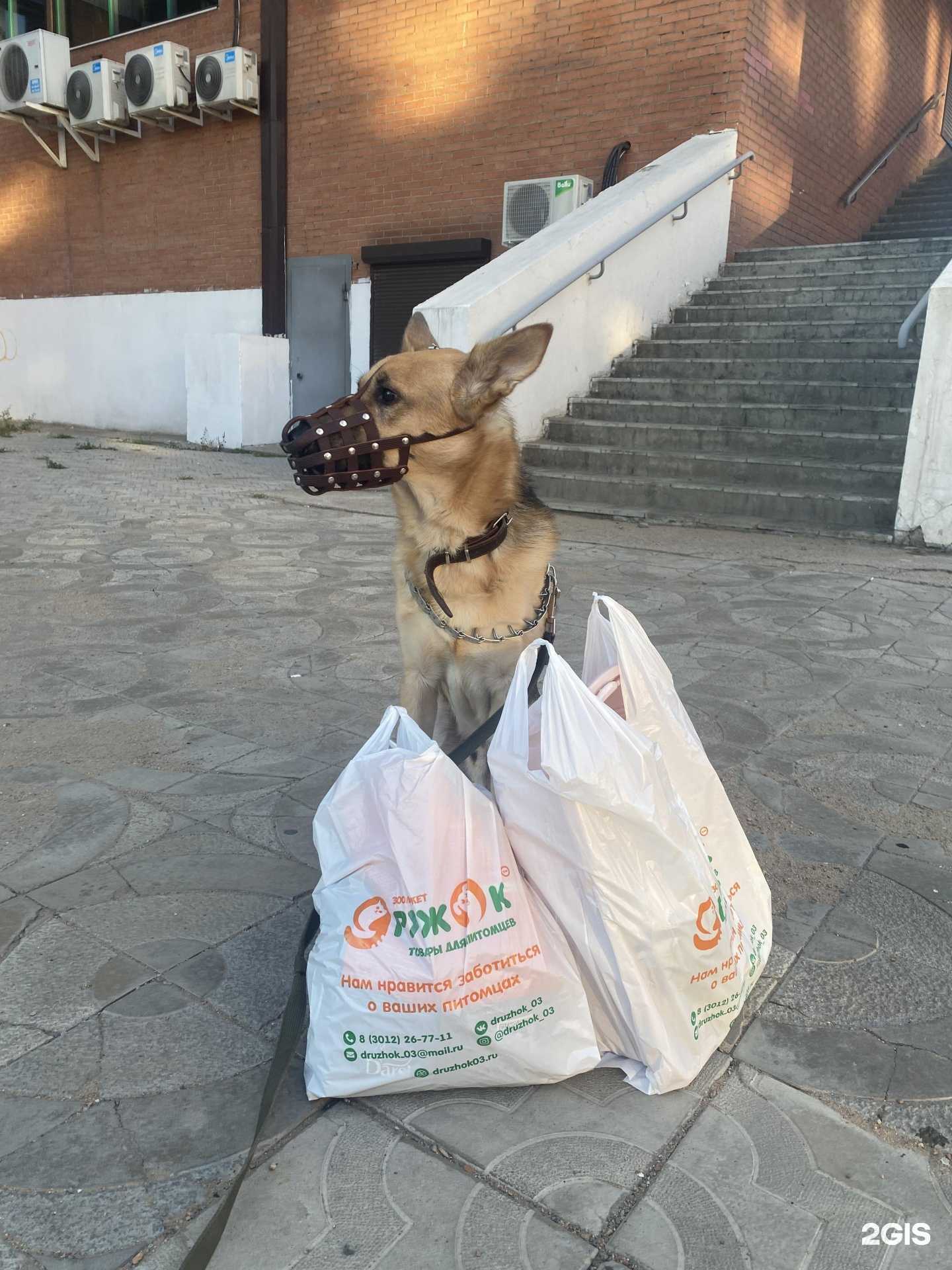 Отзывы на компанию Дружок в Улан-Удэ c фото