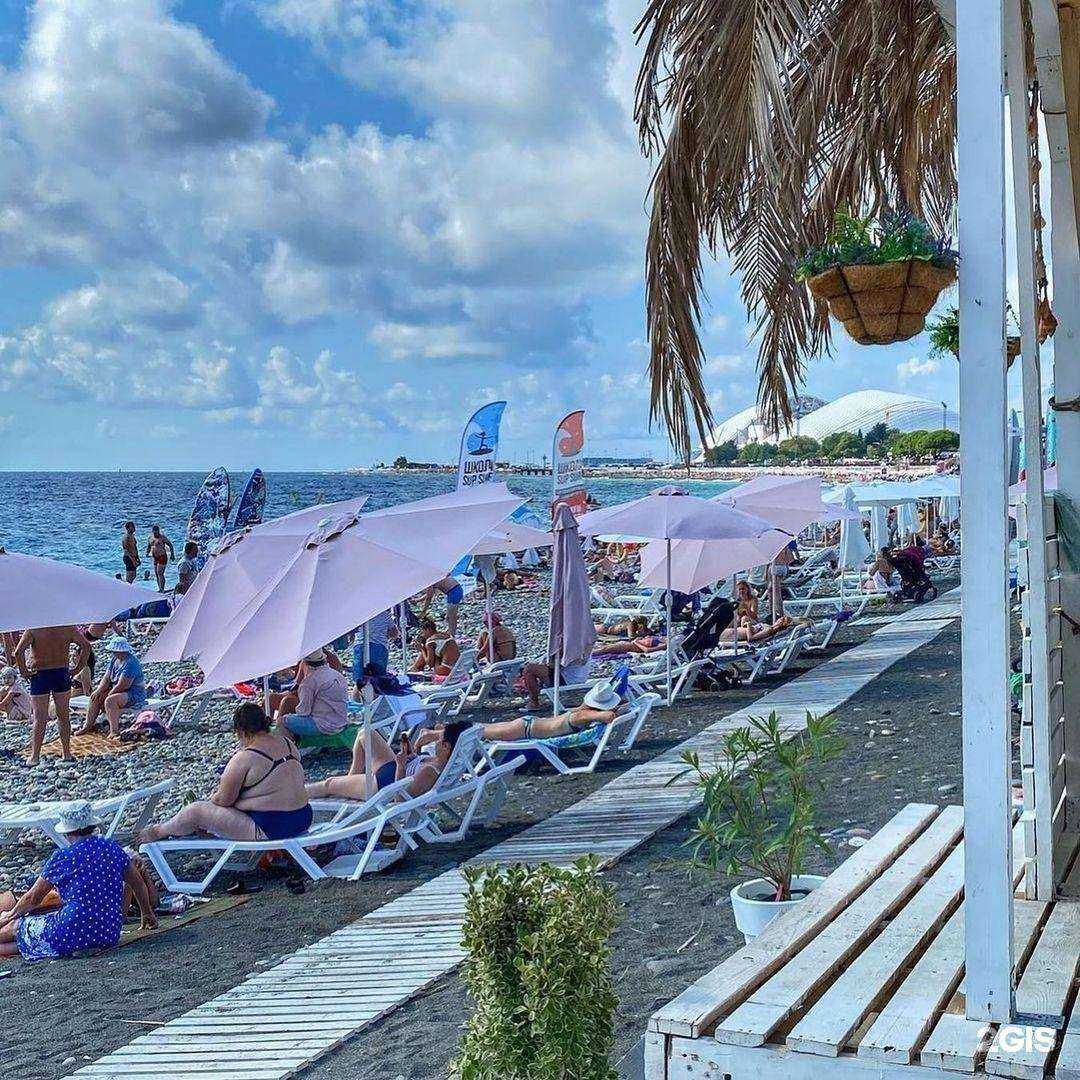 Отзывы на компанию Транзит тур в Сочи c фото