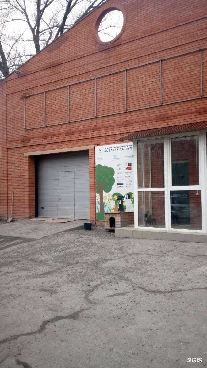 Отзывы на компанию Собачий патруль в Ростове-на-Дону c фото - фотография 2 из 2