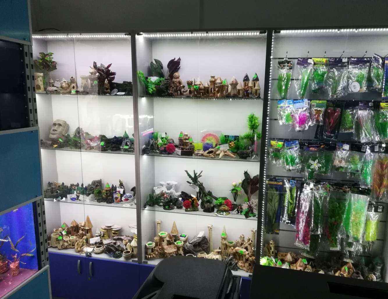 Отзывы на компанию Златослава в Магнитогорске c фото