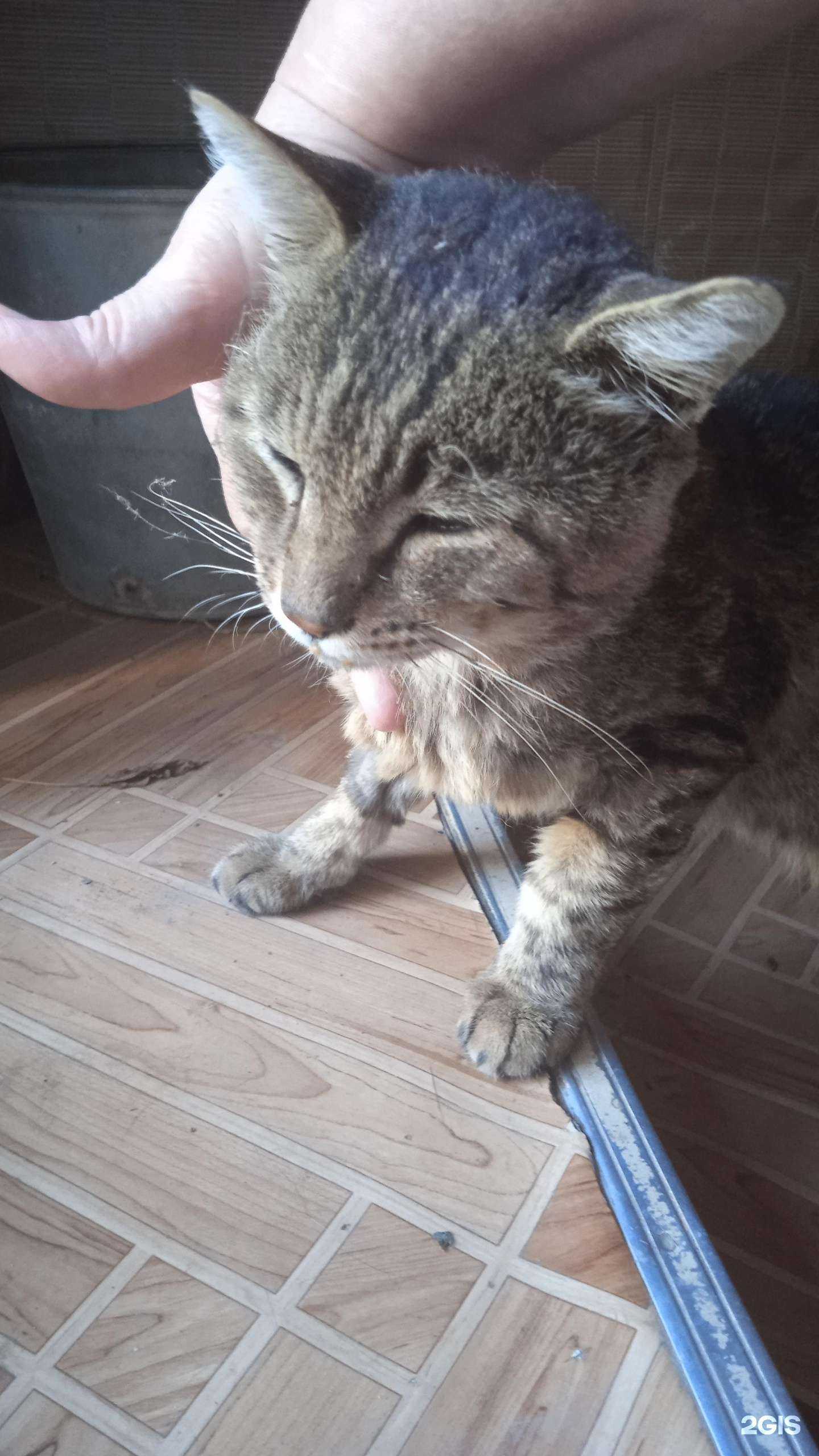 Отзывы на компанию Томас в г. Астрахань c фото