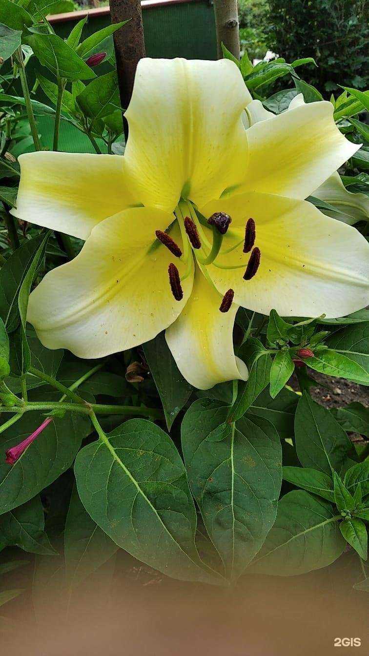 Отзывы на компанию Виктория в Магнитогорске c фото