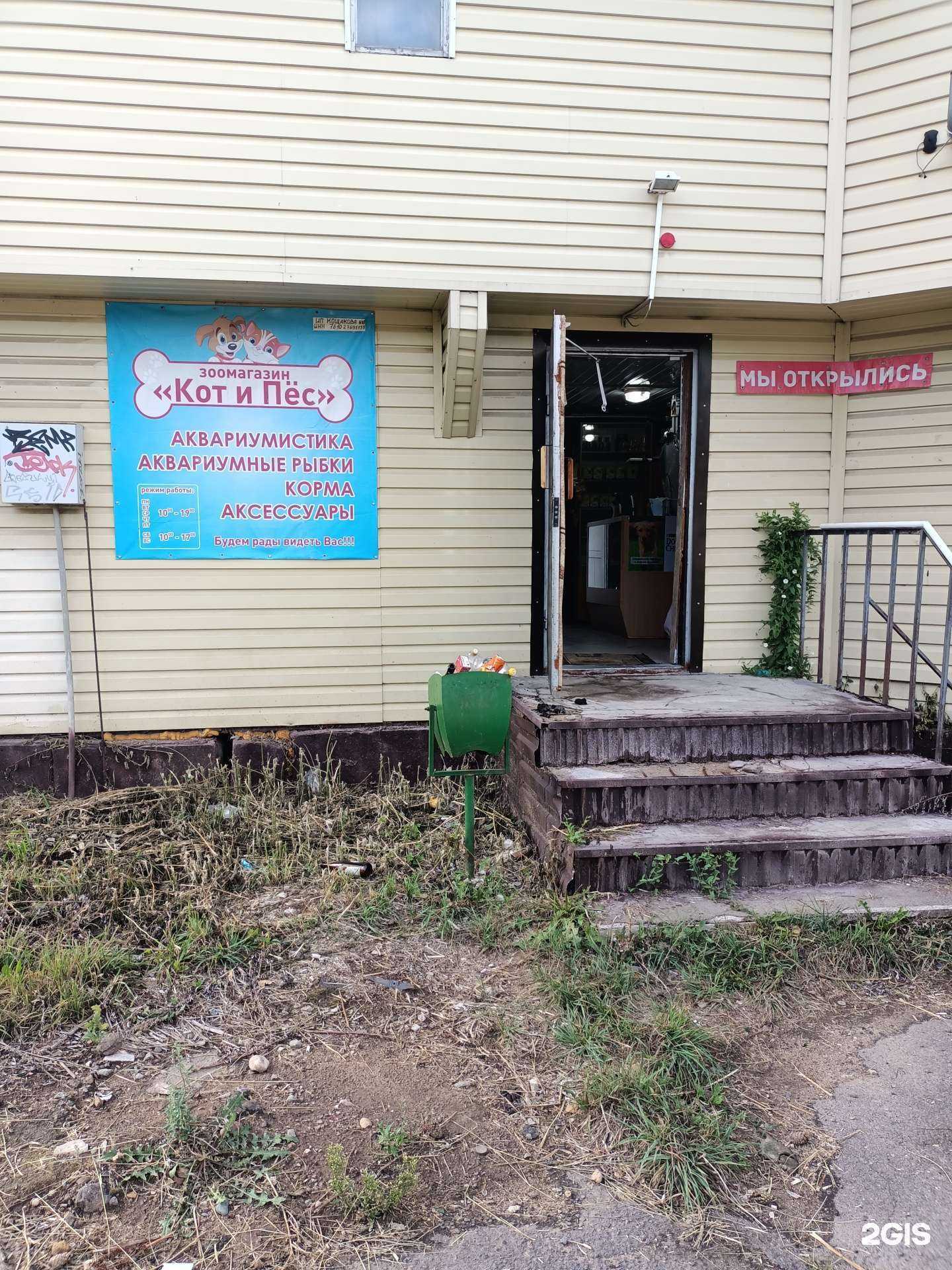 Отзывы на компанию Кот и пёс  в Рыбинске c фото