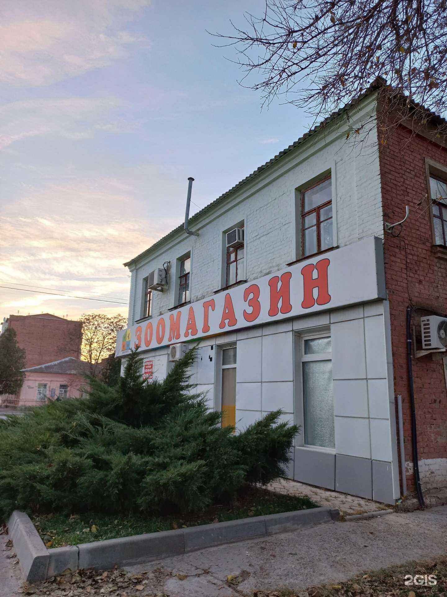 Отзывы на компанию Зоосити в Сальске c фото