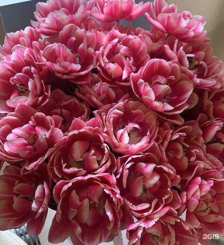 Отзывы на компанию Цветомания в Сочи c фото