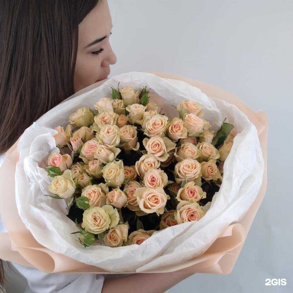 Отзывы на компанию Мята в г. Тюмень c фото