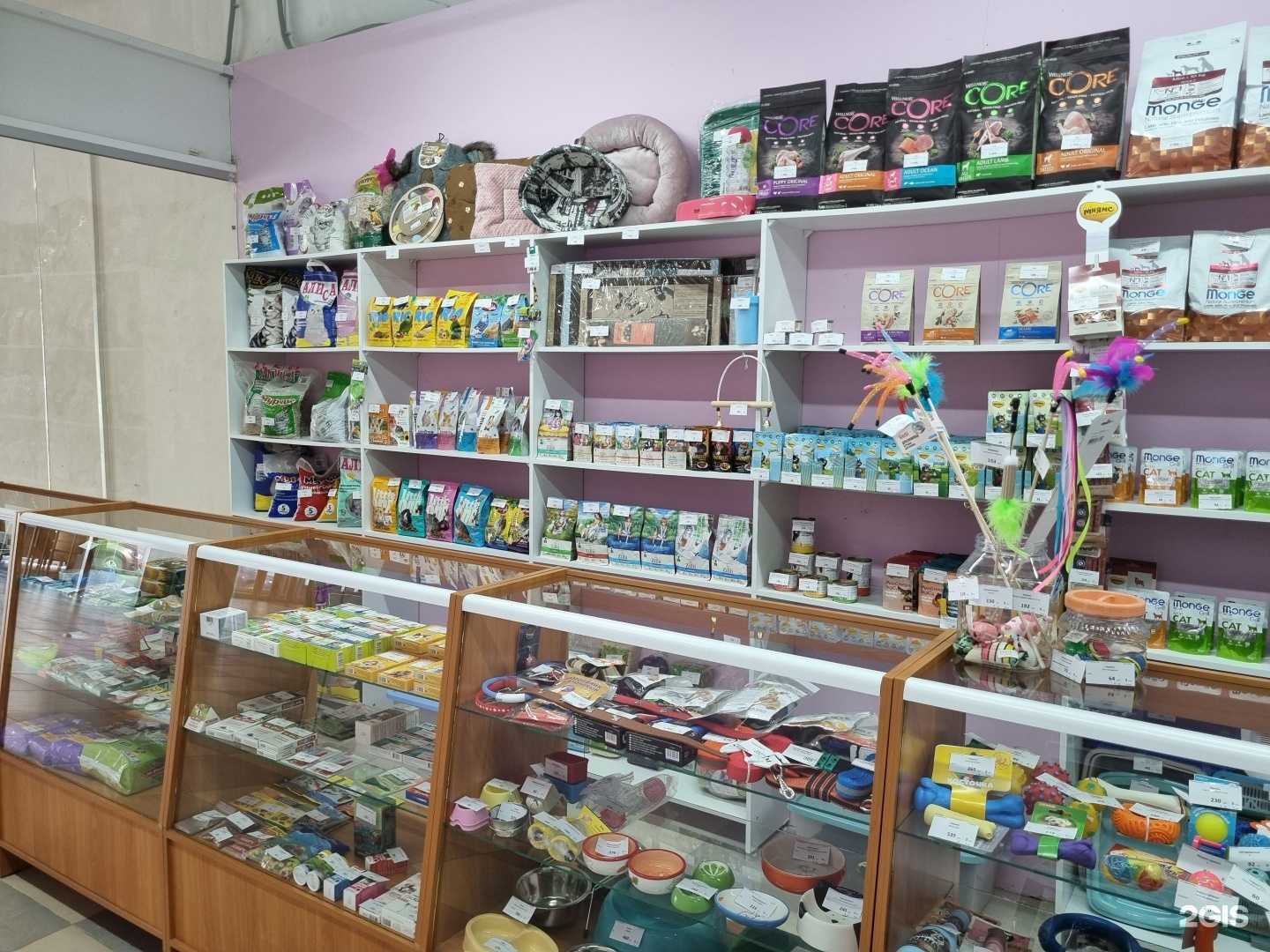 Отзывы на компанию Дружок Пушок в г. Челябинск c фото