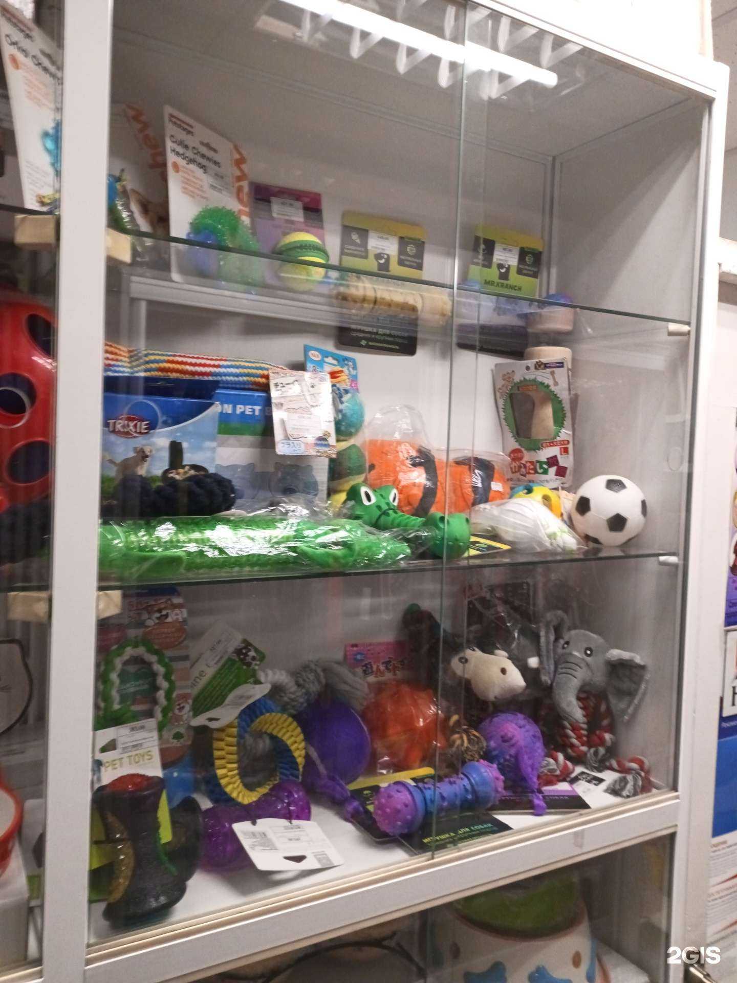 Отзывы на компанию Пёс&кот в г. Омск c фото