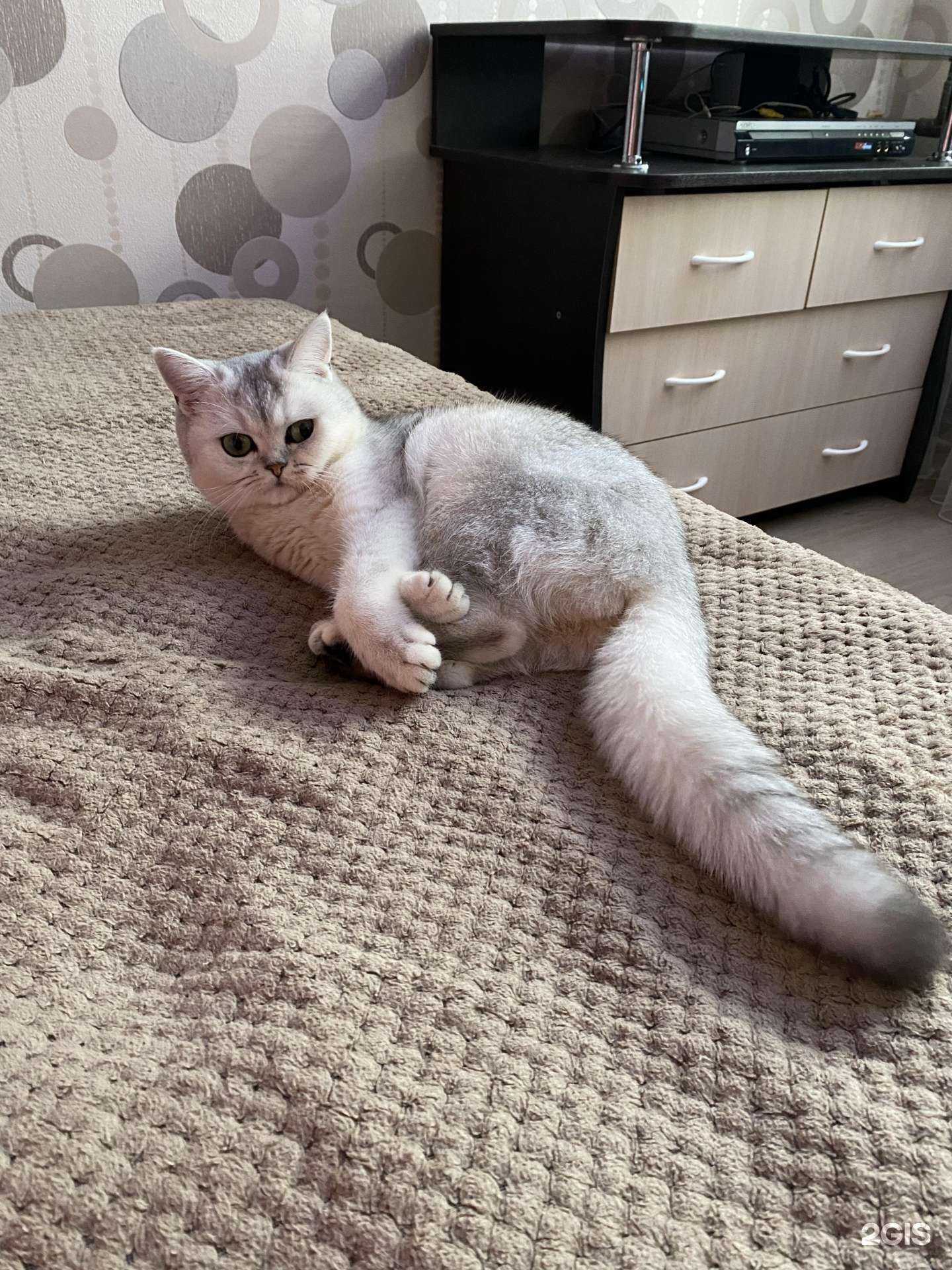 Отзывы на компанию Ветеринарный кабинет Бабкиных в г. Екатеринбург c фото