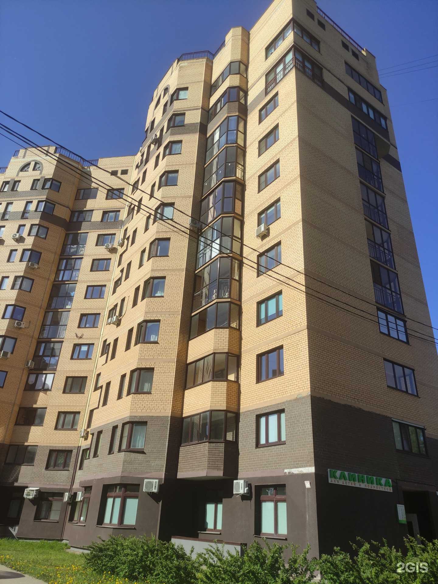 Отзывы на компанию Вета в Дмитрове c фото - фотография 2 из 2