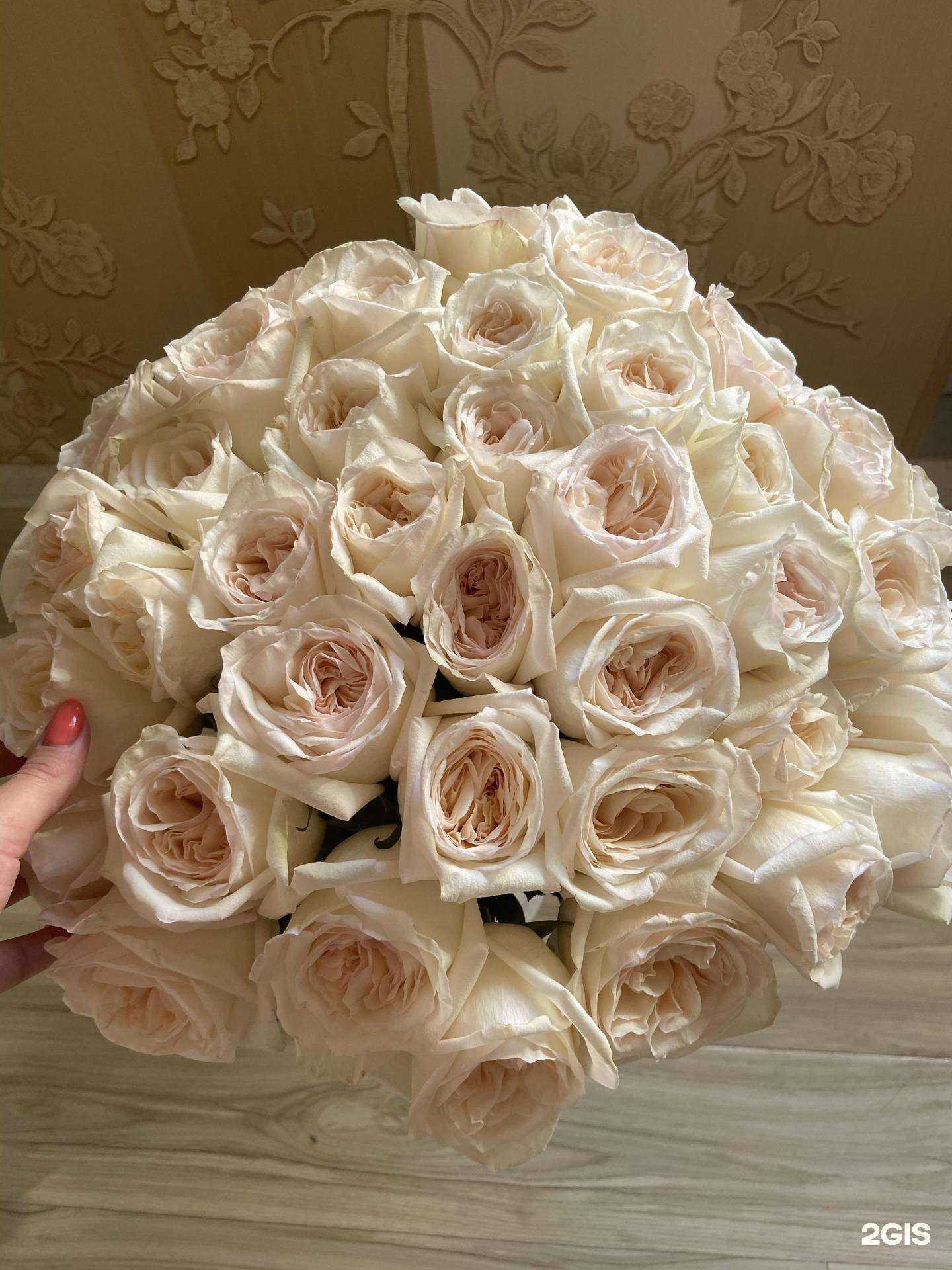 Отзывы на компанию Ванда в г. Ишимбай c фото