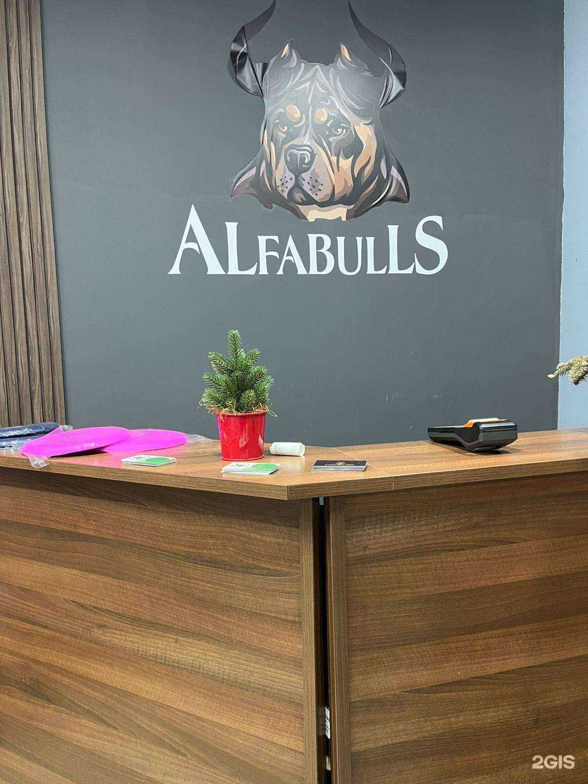 Отзывы на компанию AlfaBulls в Ярославле c фото