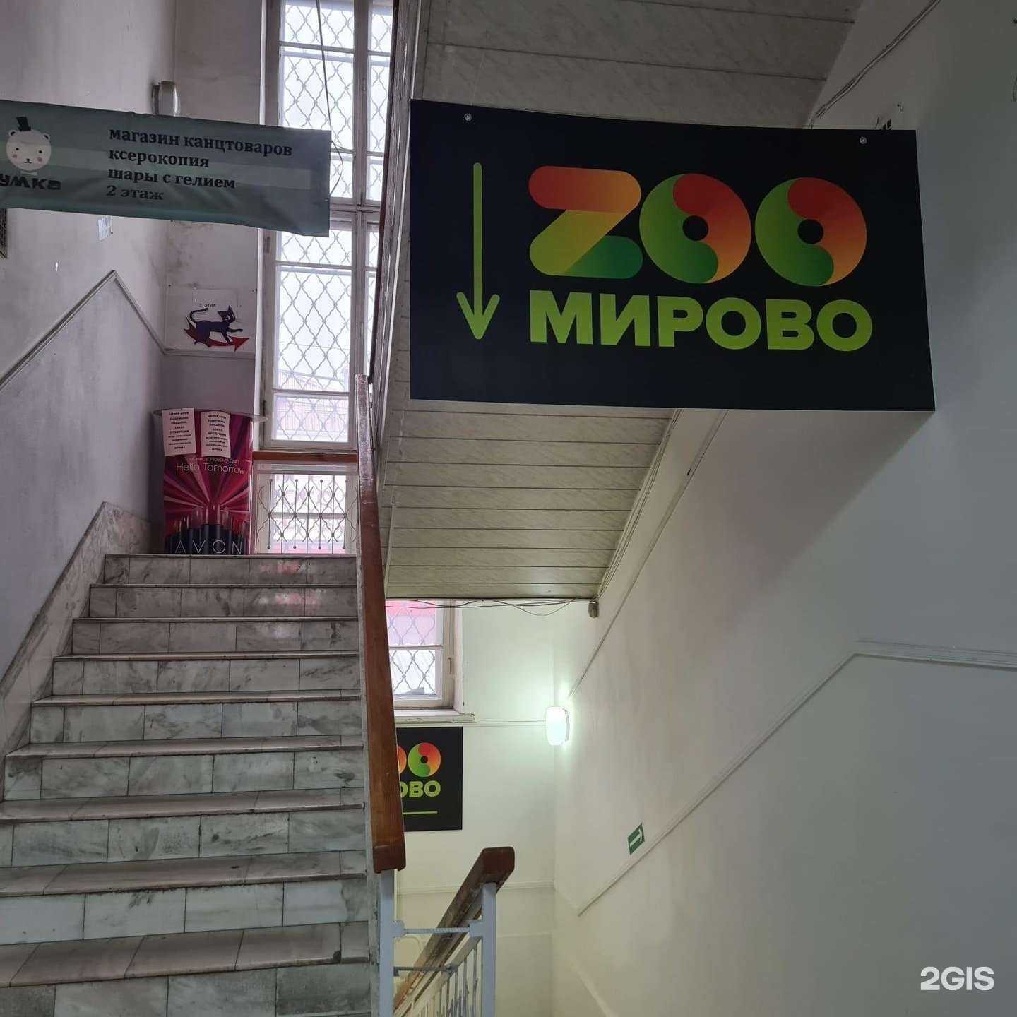 Отзывы на компанию Zooмирово в Бийске c фото