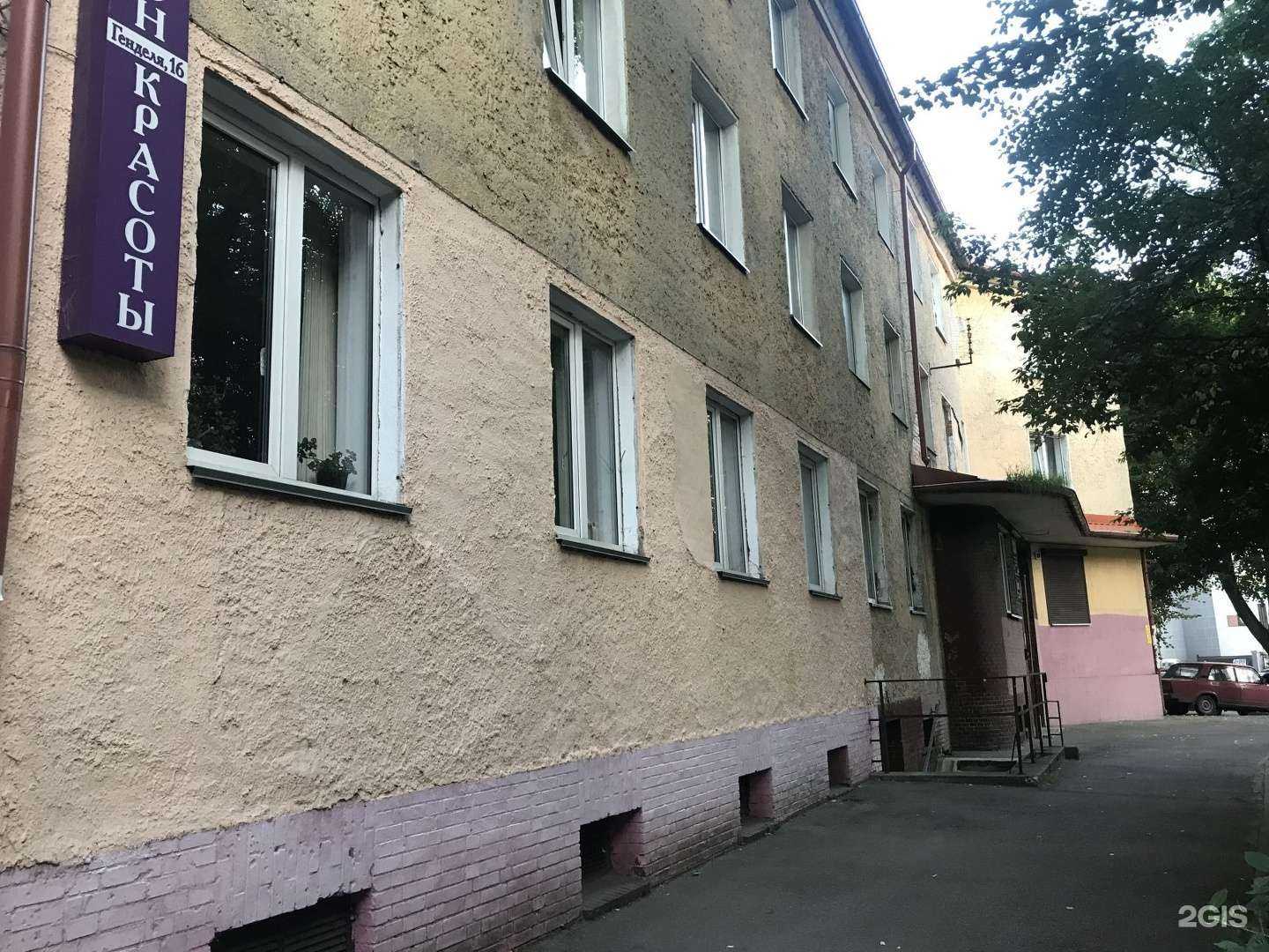 Отзывы на компанию Quokka в Калининграде c фото - фотография 2 из 2