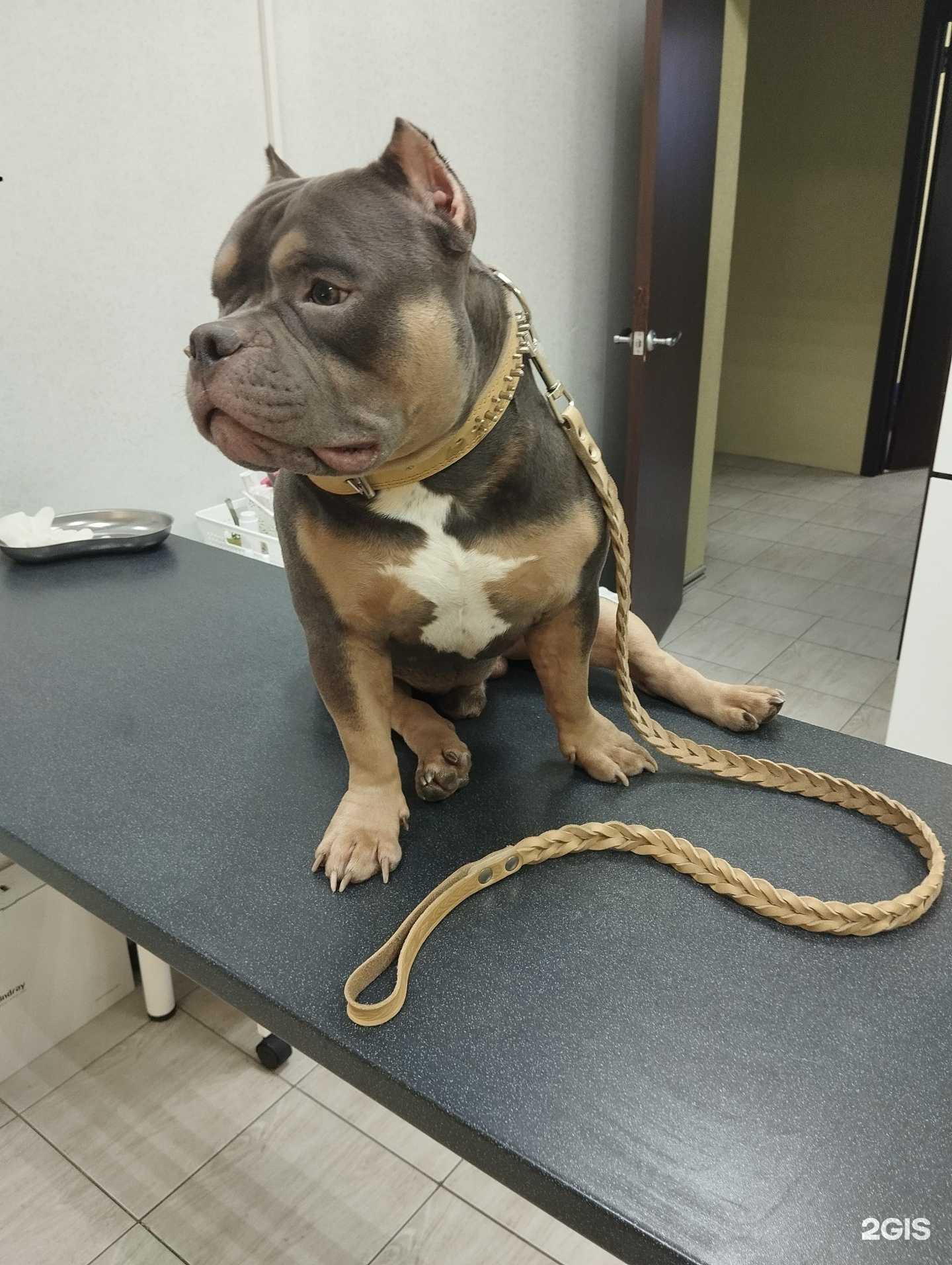 Отзывы на компанию Ветлана в Волгограде c фото