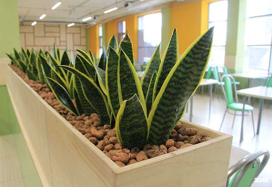 Отзывы на компанию Домашняя столовая в Казани c фото