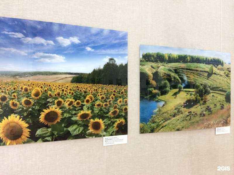 Отзывы на компанию Мэдитек в г. Тула c фото