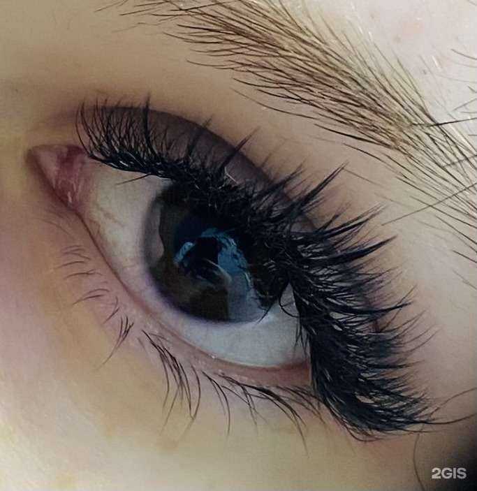 Отзывы на компанию Студия наращивания ресниц в Новосибирске c фото