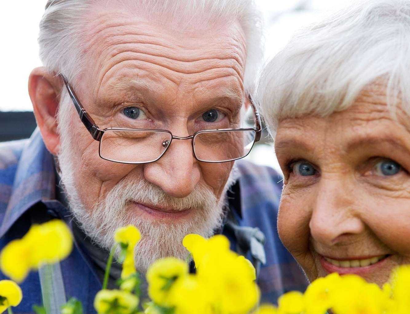 Отзывы на компанию Австрийские окна в г. Брянск c фото