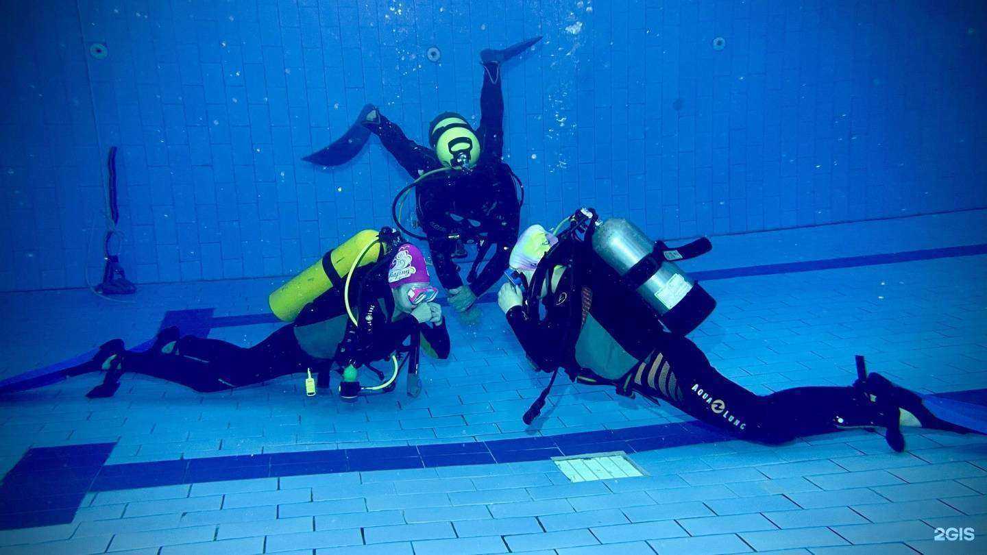 Отзывы на компанию Витязь в г. Набережные Челны c фото