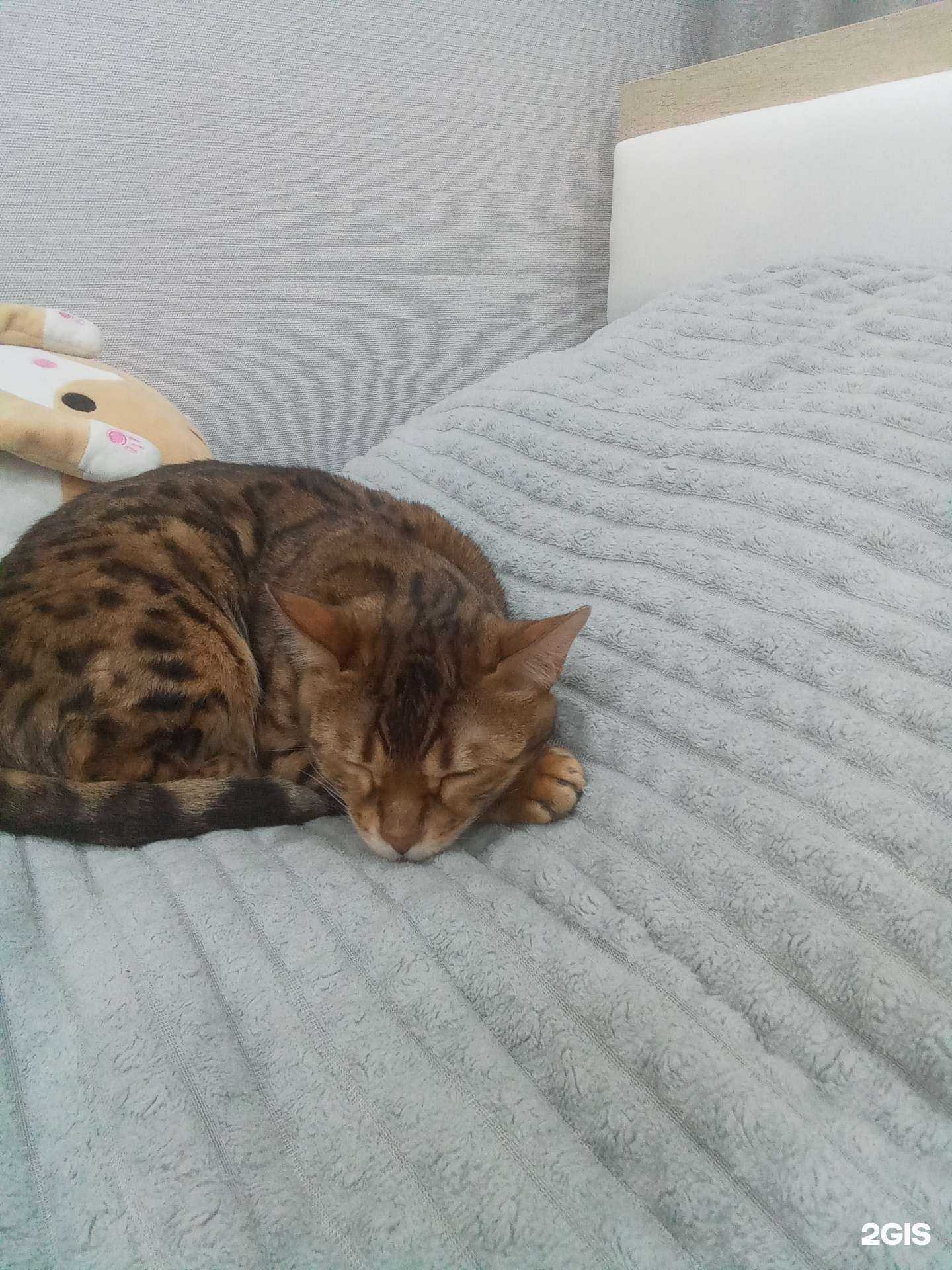 Отзывы на компанию Азбука фейерверков в г. Нижневартовск c фото