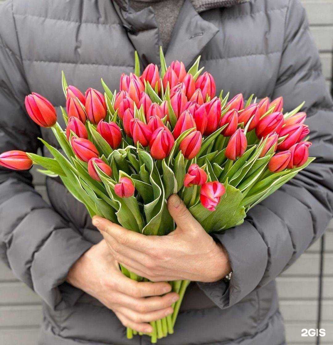 Отзывы на компанию Фиалка в г. Красногорск c фото