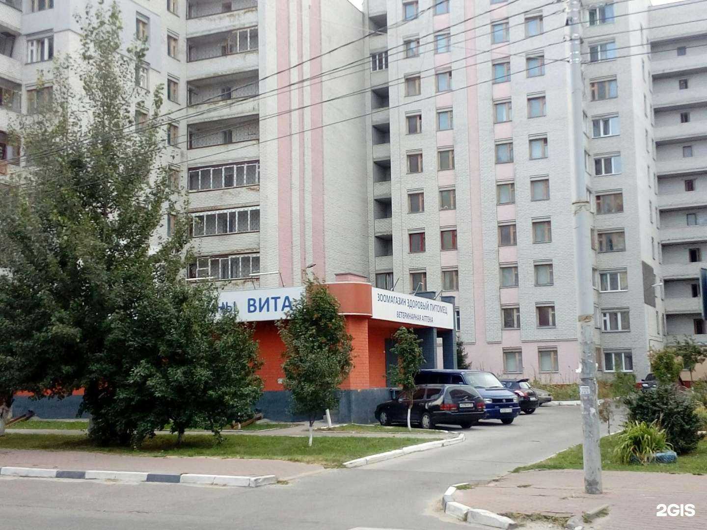 Отзывы на компанию Вита в г. Брянск c фото