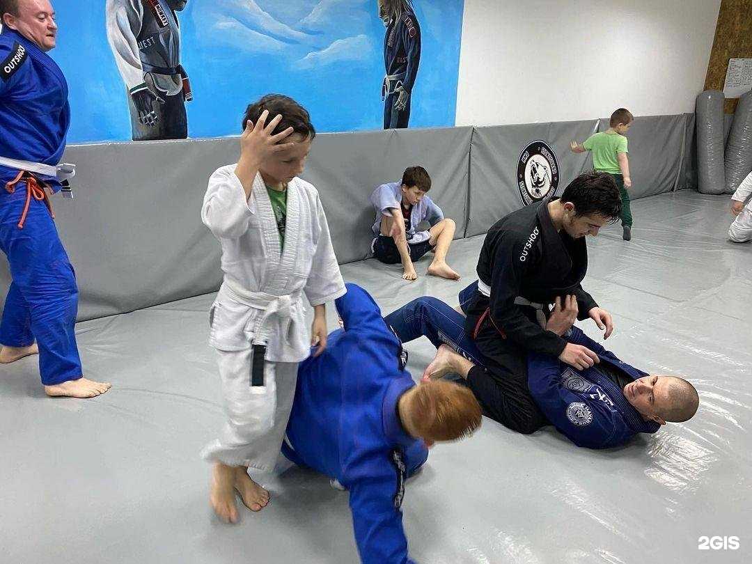 Отзывы на компанию World of struggle в г. Невинномысск c фото