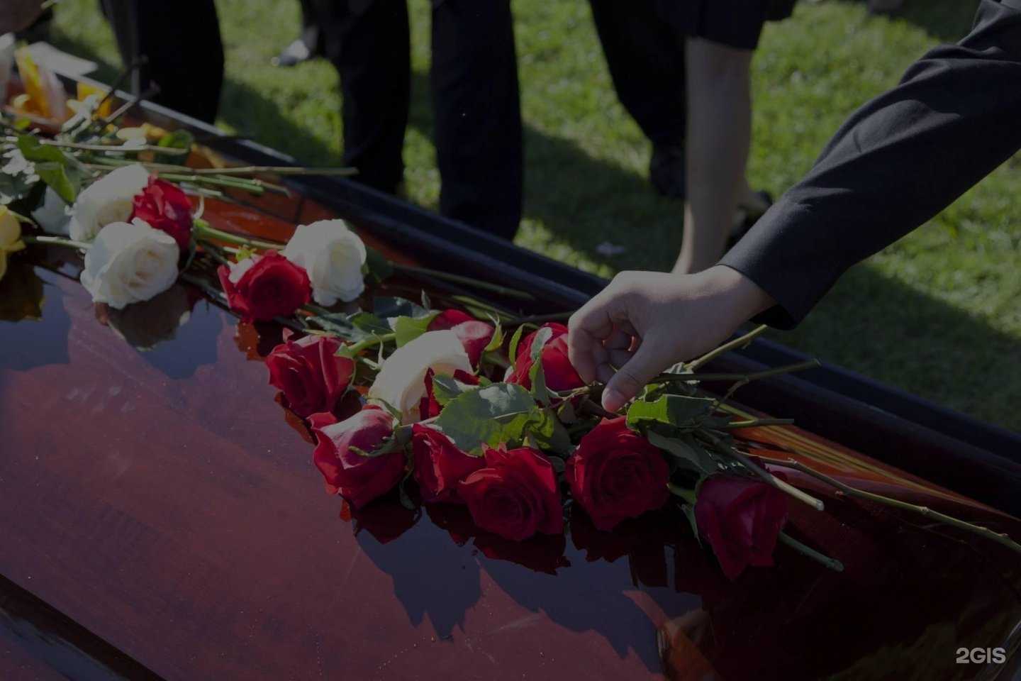 Отзывы на компанию Лотос-М в г. Петропавловск-Камчатский c фото