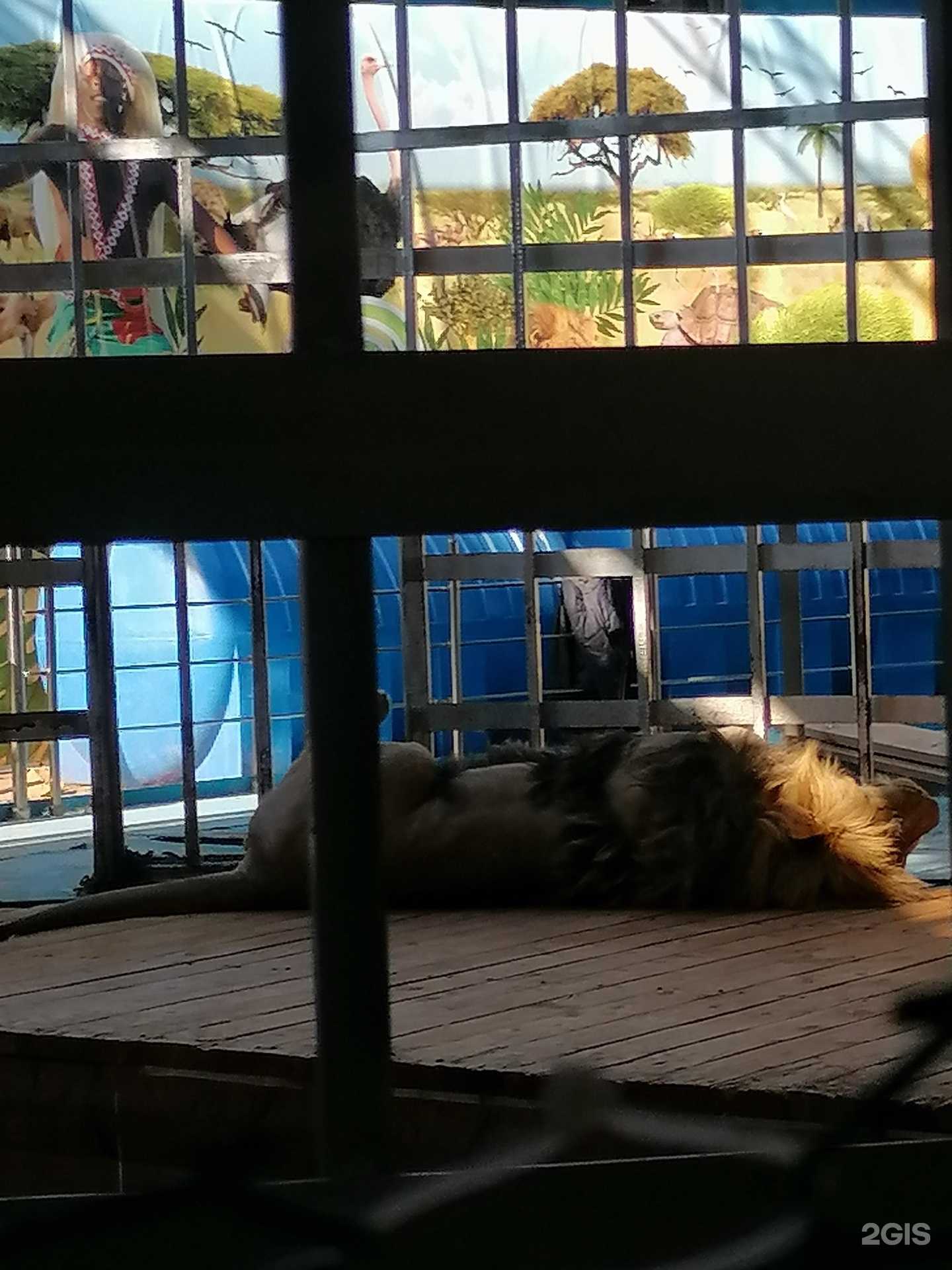 Отзывы на компанию Остров сокровищ в г. Нижний Тагил c фото