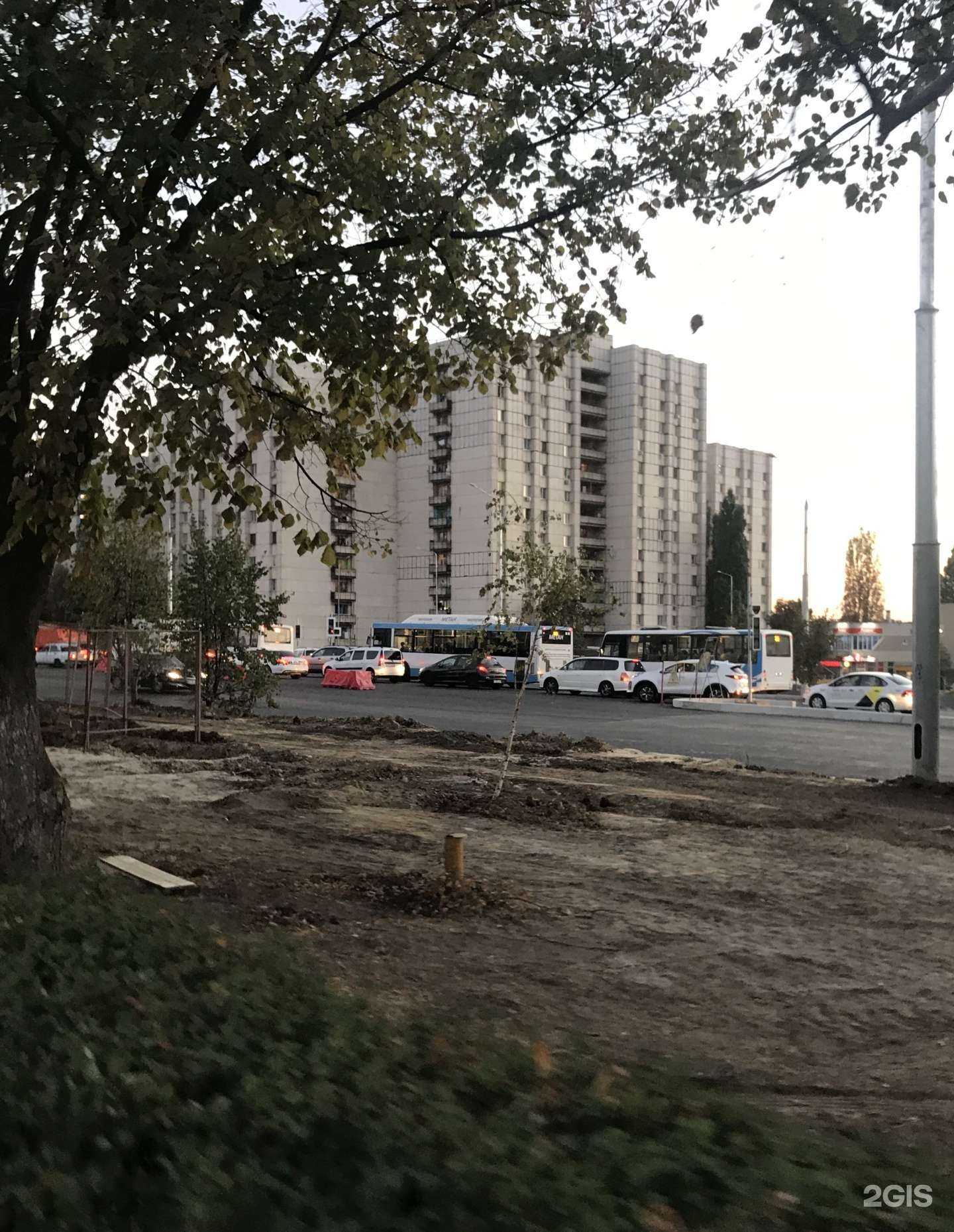 Отзывы на компанию Аптека в Белгороде c фото - фотография 2 из 2