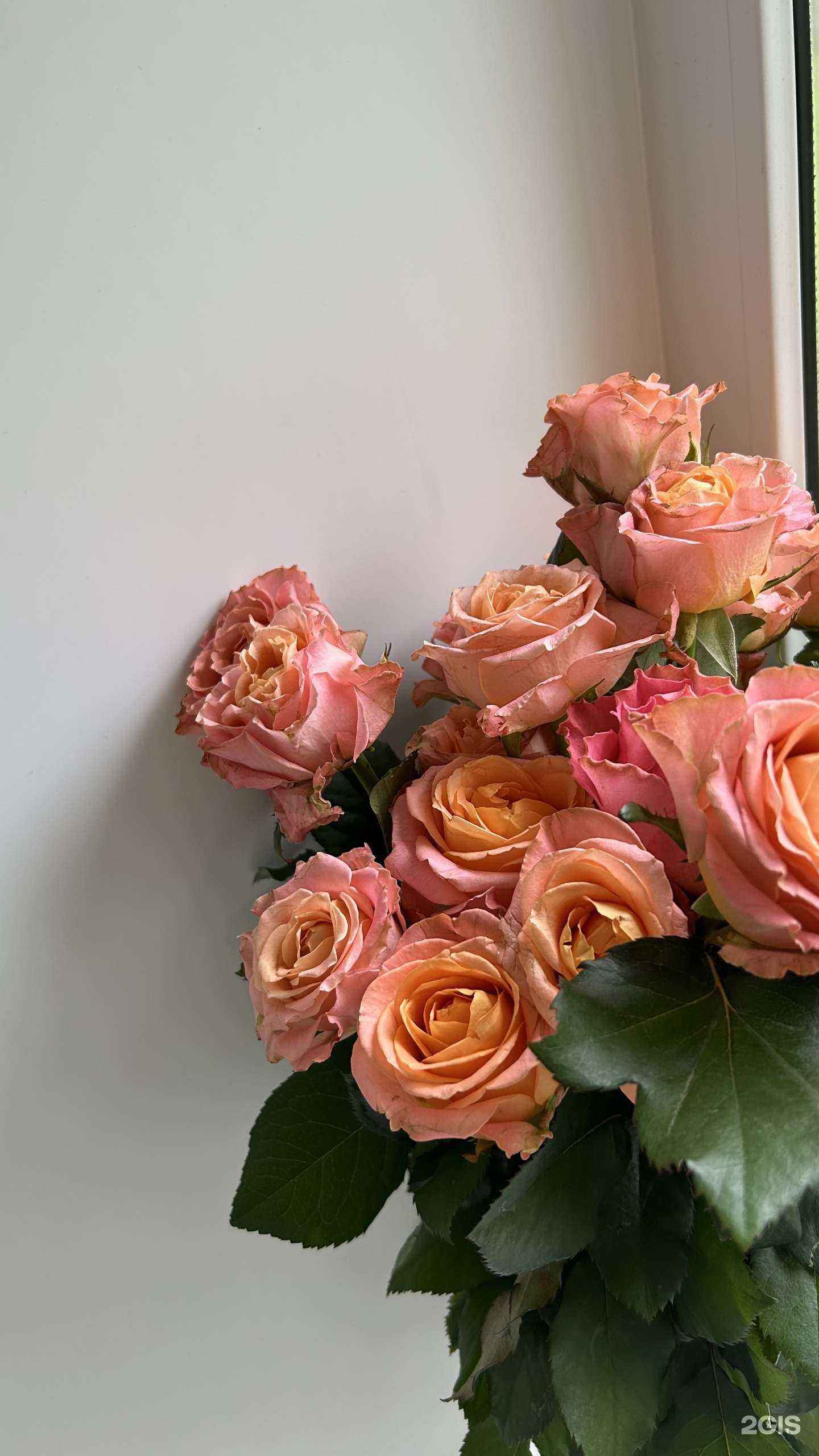 Отзывы на компанию Цветы Удмуртии в Ижевске c фото