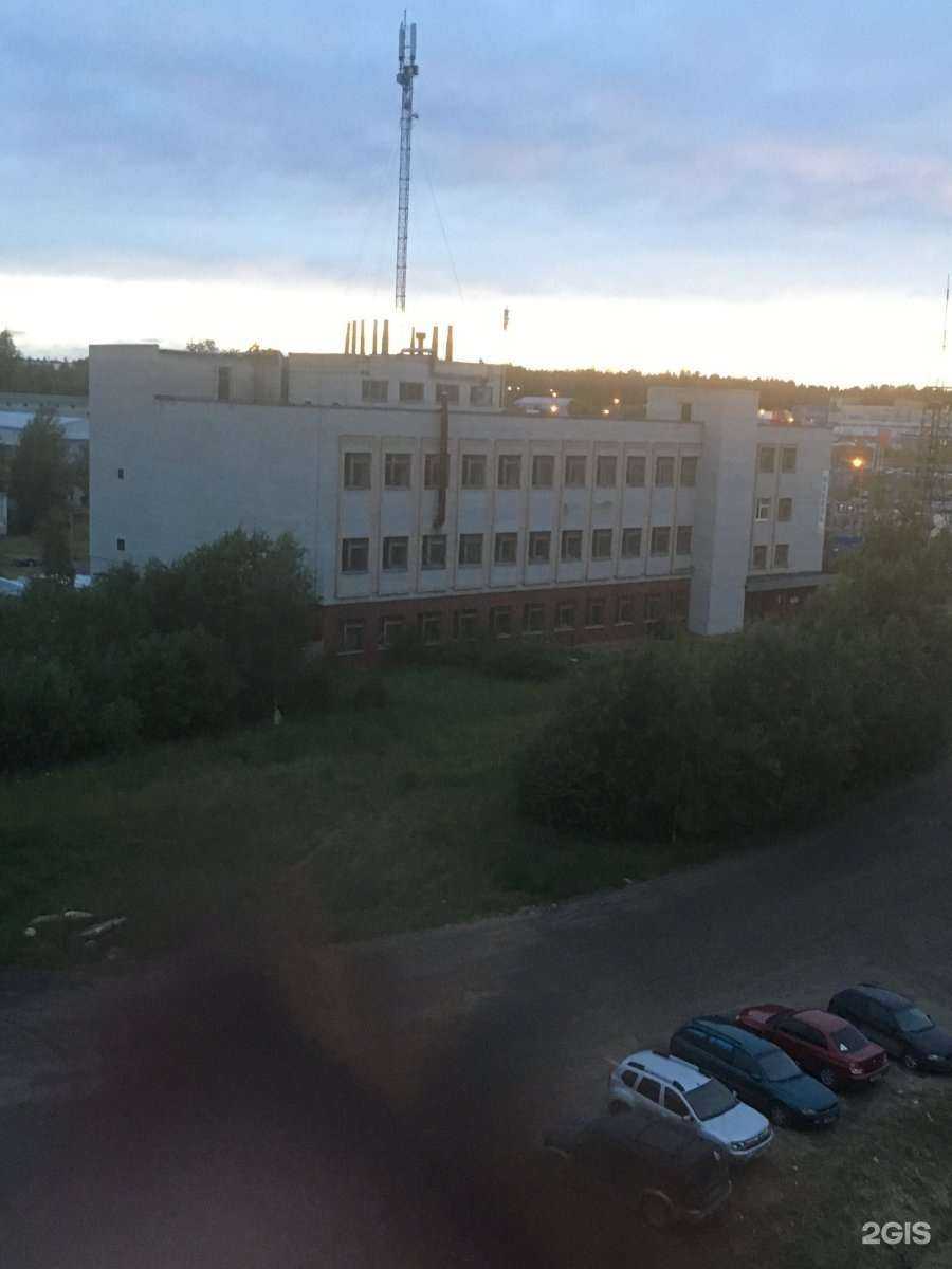 Отзывы на компанию Линту в Петрозаводске c фото - фотография 2 из 2