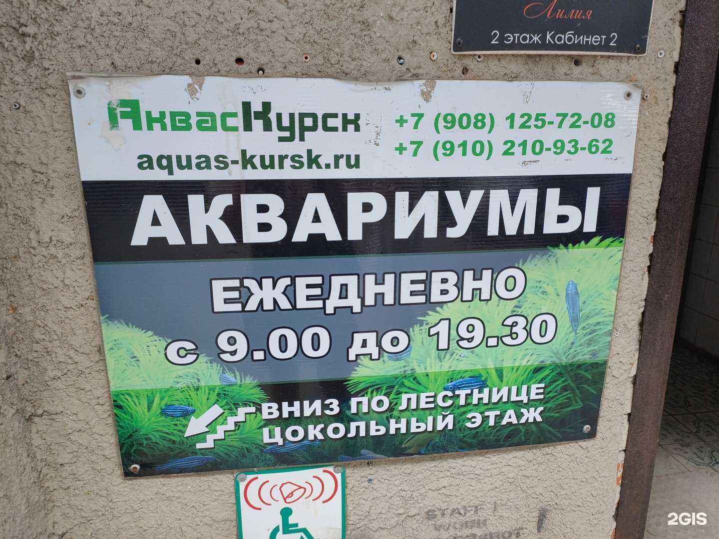 Отзывы на компанию Аквас-Курск в г. Курск c фото