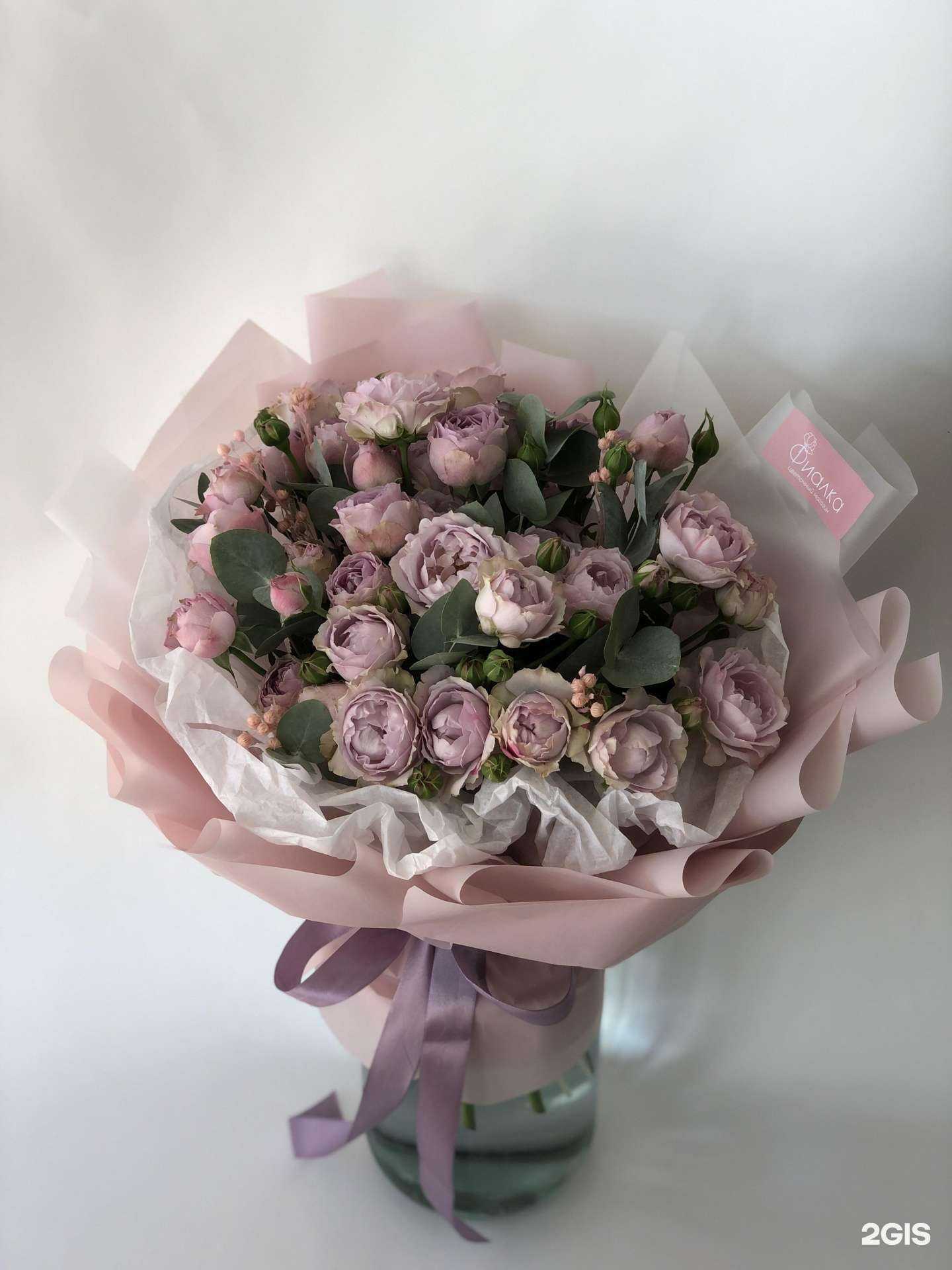 Отзывы на компанию Фиалка в г. Йошкар-Ола c фото