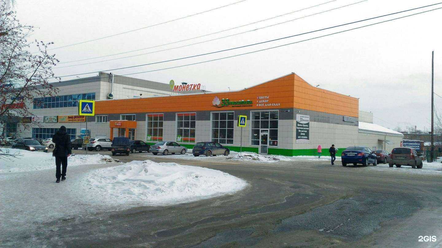 Отзывы на компанию 33 тюльпана в Нижнем Тагиле c фото - фотография 2 из 2