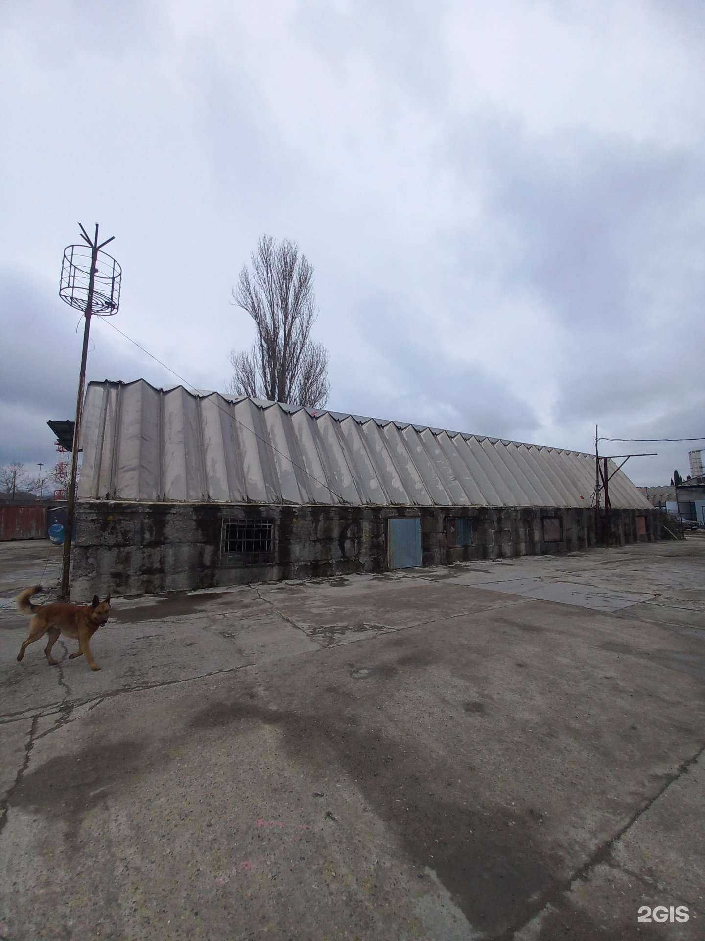Отзывы на компанию Компания по аренде и продаже спецтехники в г. Сочи c фото