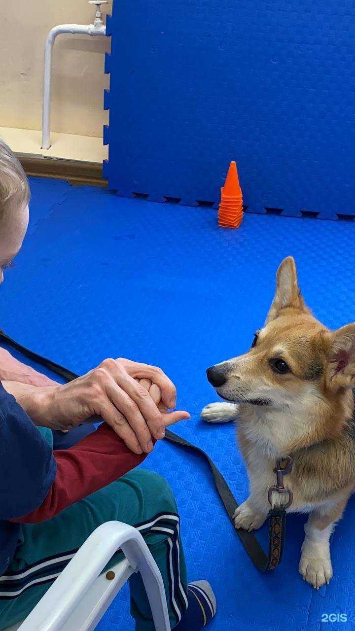 Отзывы на компанию Хвостатый ангел в Челябинске c фото