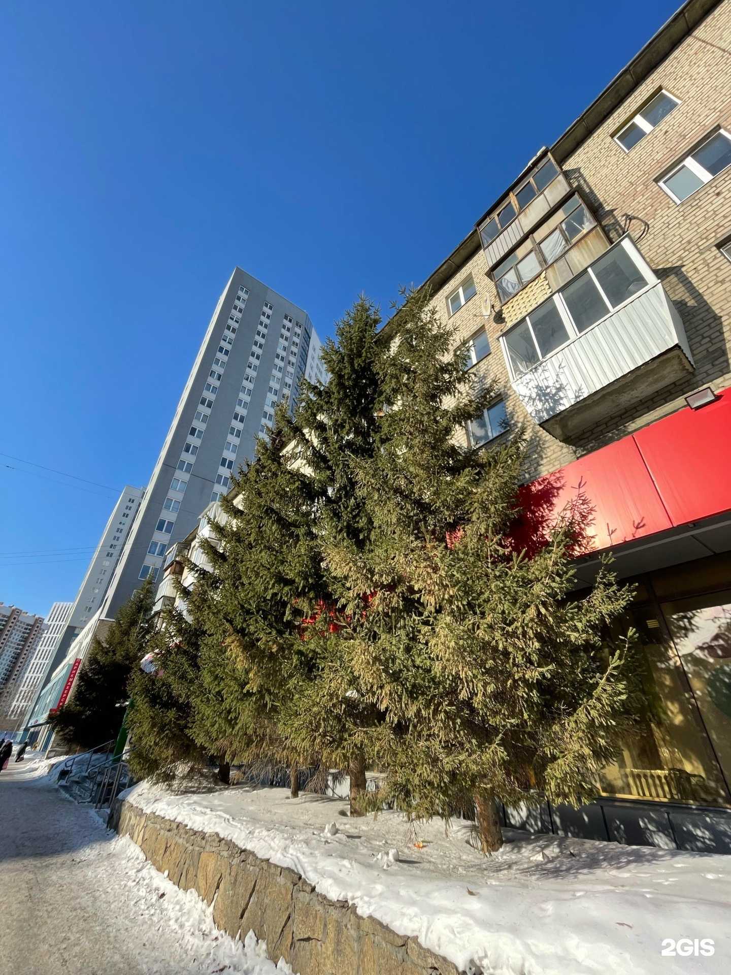 Отзывы на компанию Александра в Екатеринбурге c фото - фотография 2 из 2