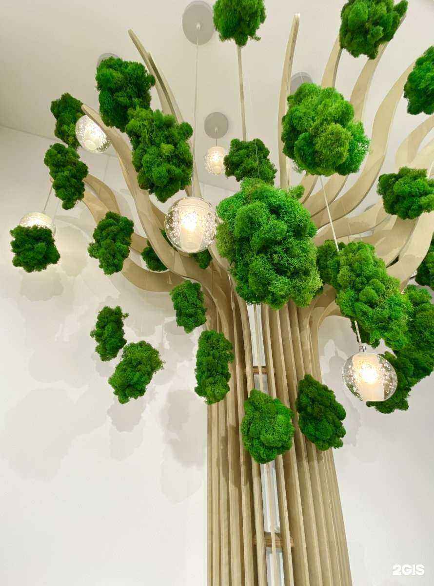 Отзывы на компанию Белый Кот в Новосибирске c фото