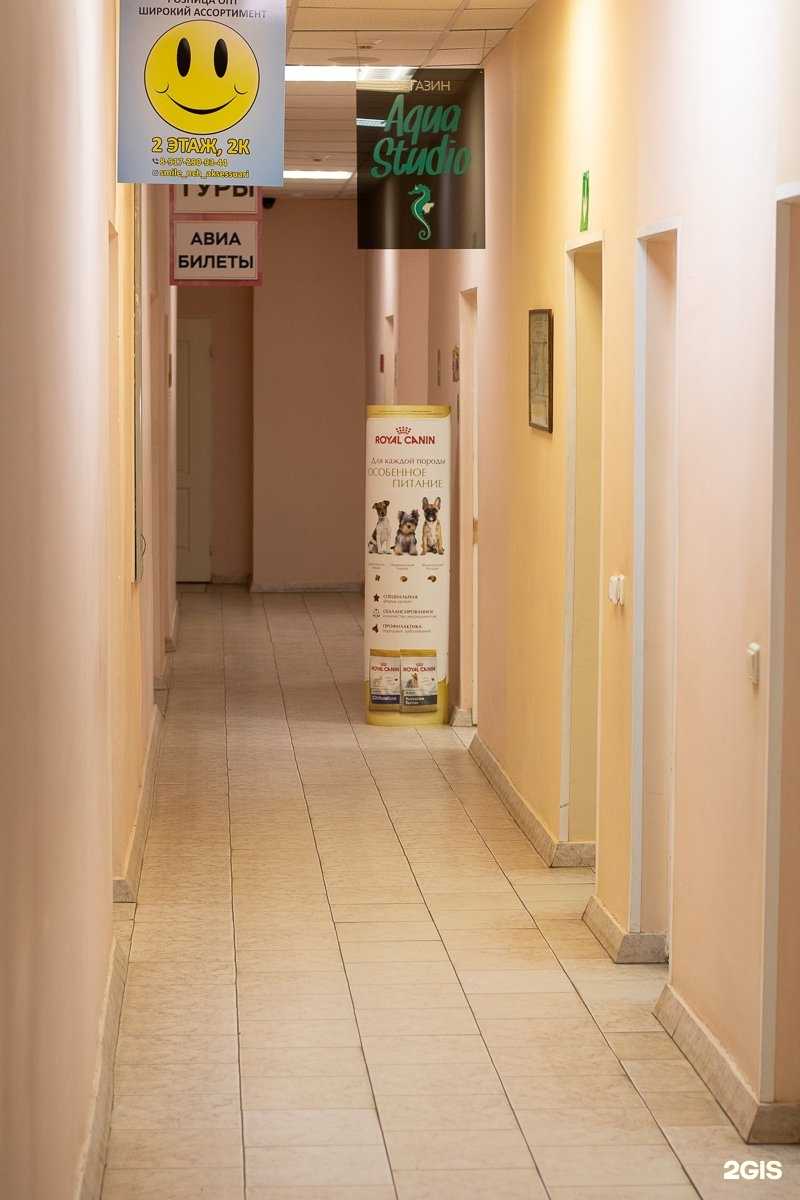 Отзывы на компанию Aqua studio в г. Набережные Челны c фото