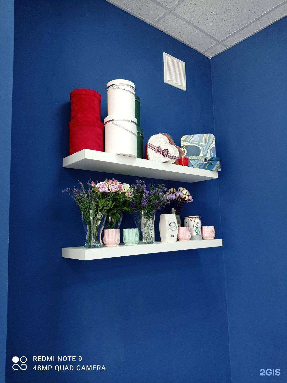 Отзывы на компанию Сойка влюбленная в Йошкар-Оле c фото