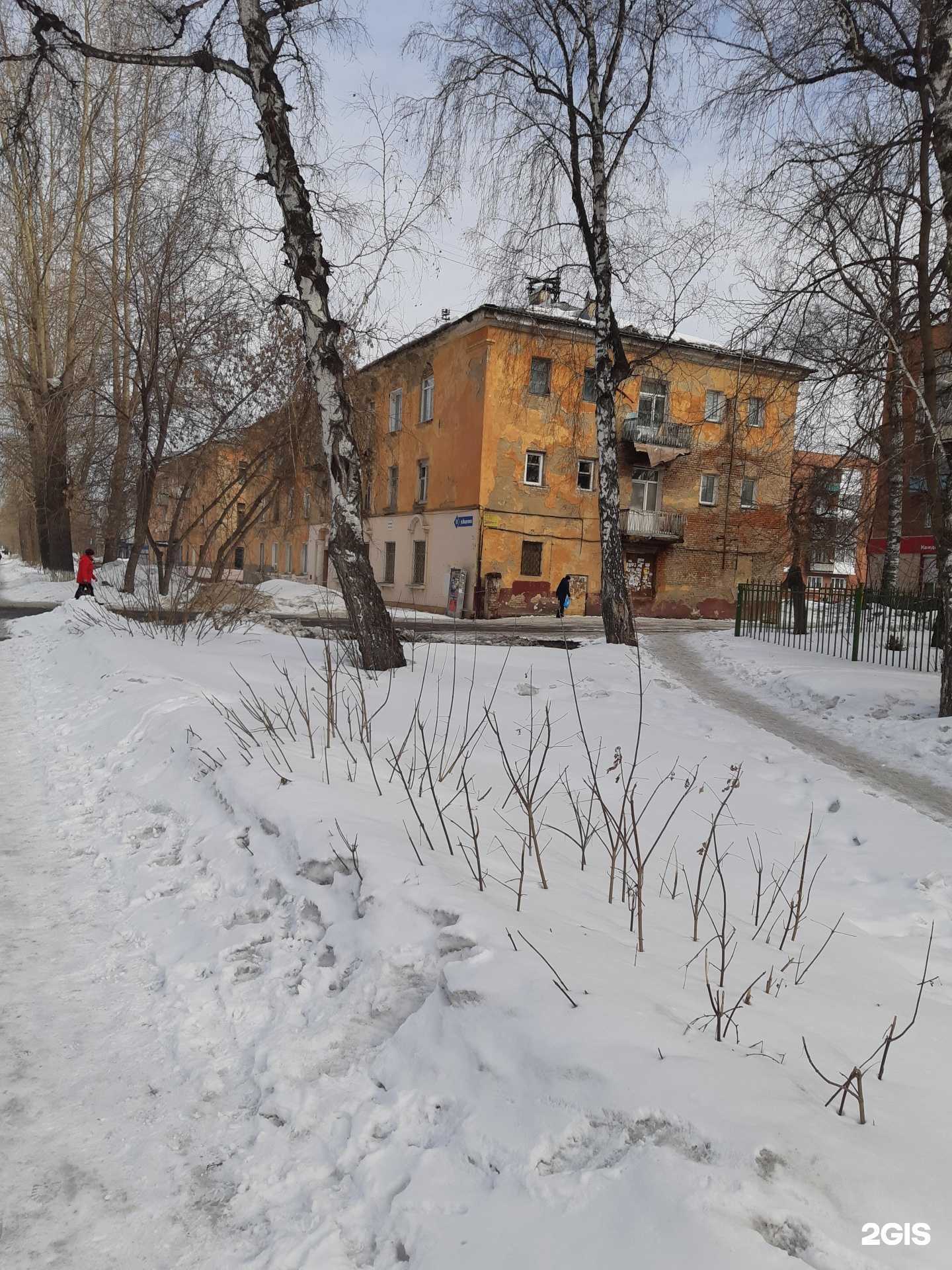 Отзывы на компанию Медицинская Практика в Кемерове c фото - фотография 2 из 2