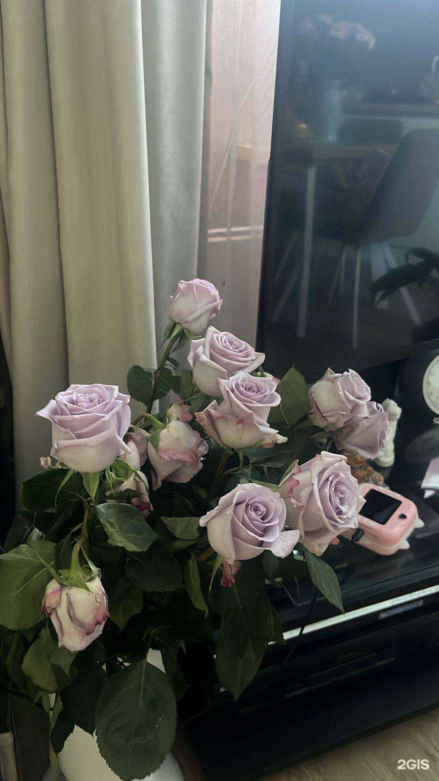 Отзывы на компанию Bezposrednikov24 в Красноярске c фото