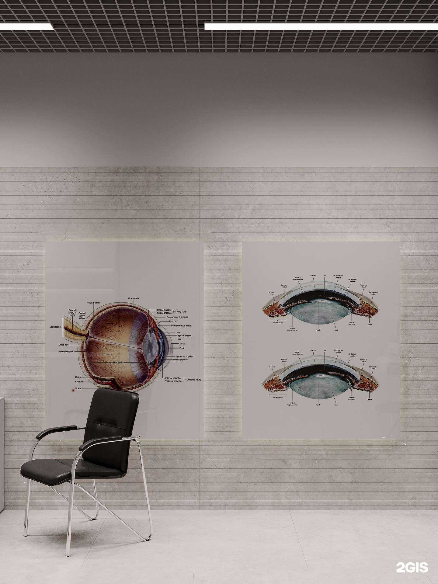 Отзывы на компанию Optic Space в г. Новосибирск c фото