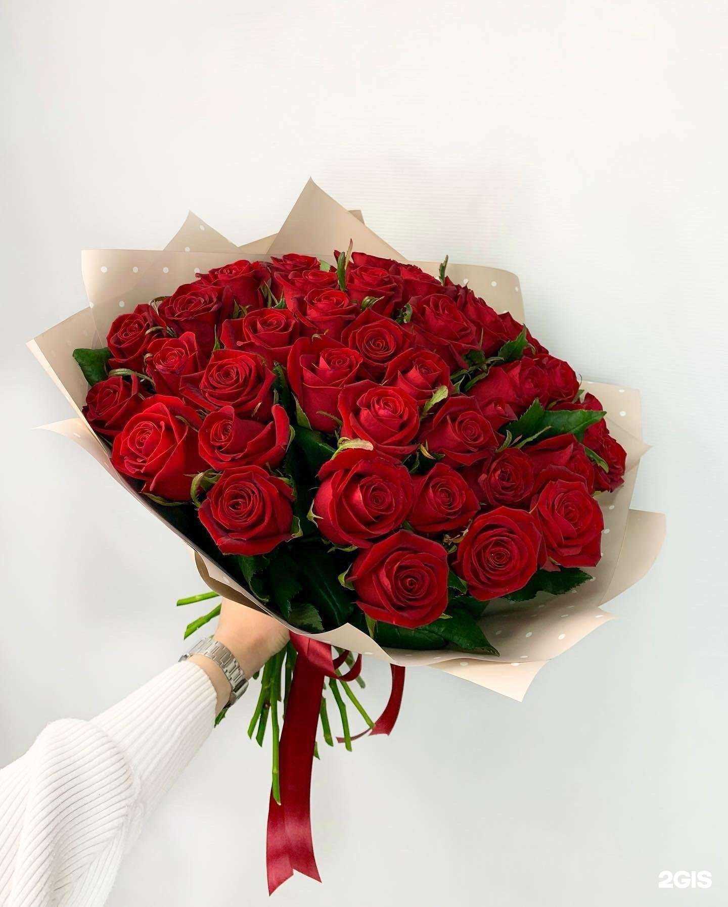 Отзывы на компанию Незабудка в Краснодаре c фото