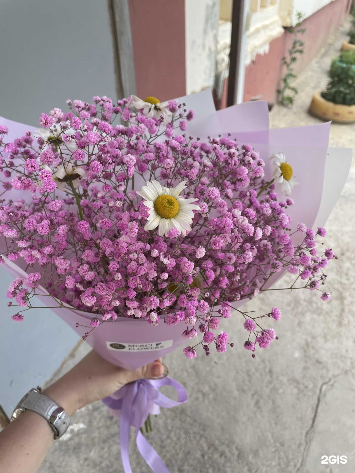 Отзывы на компанию Merci в г. Элиста c фото