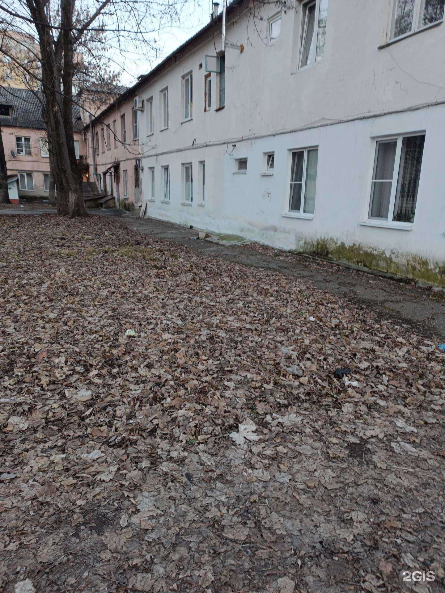 Отзывы на компанию Налвет в Нальчике c фото - фотография 2 из 2